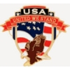 USA EAGLE PIN UNITED WE STAND PIN